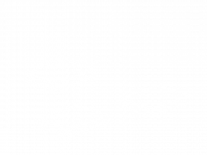 Shuttle
