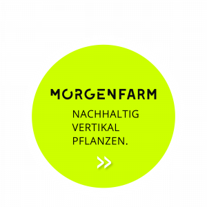 Zukunftsfelder_MF_de