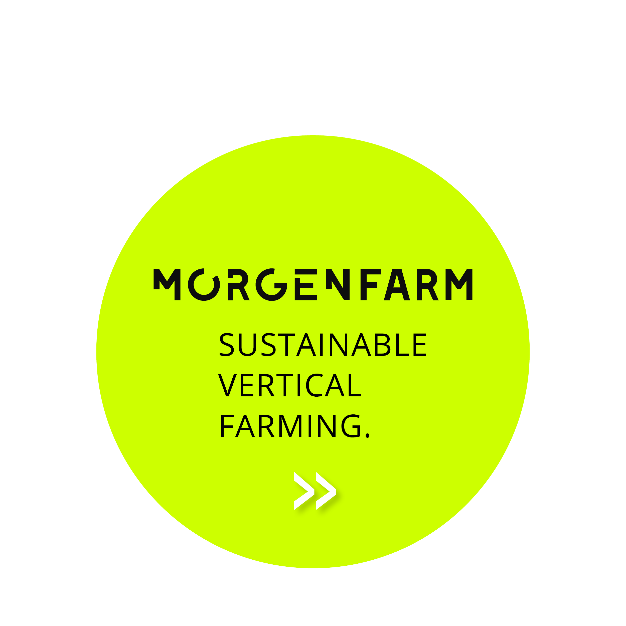 Zukunftsfelder_MF_en